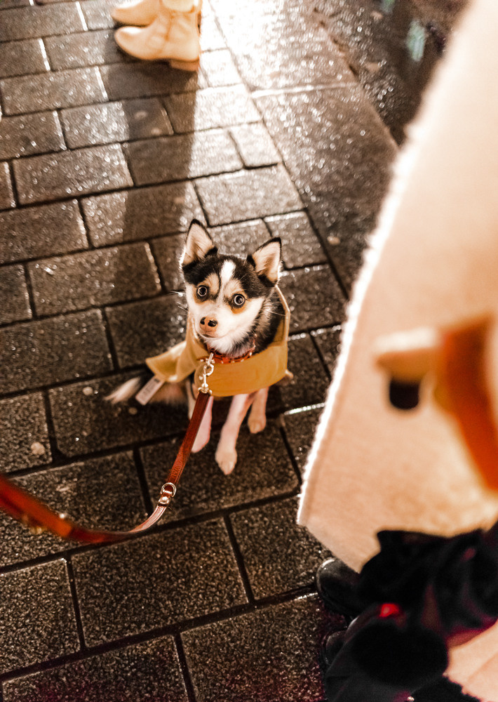 Night London. Professional wedding photographer in Copenhagen, Denmark — Julia Byron