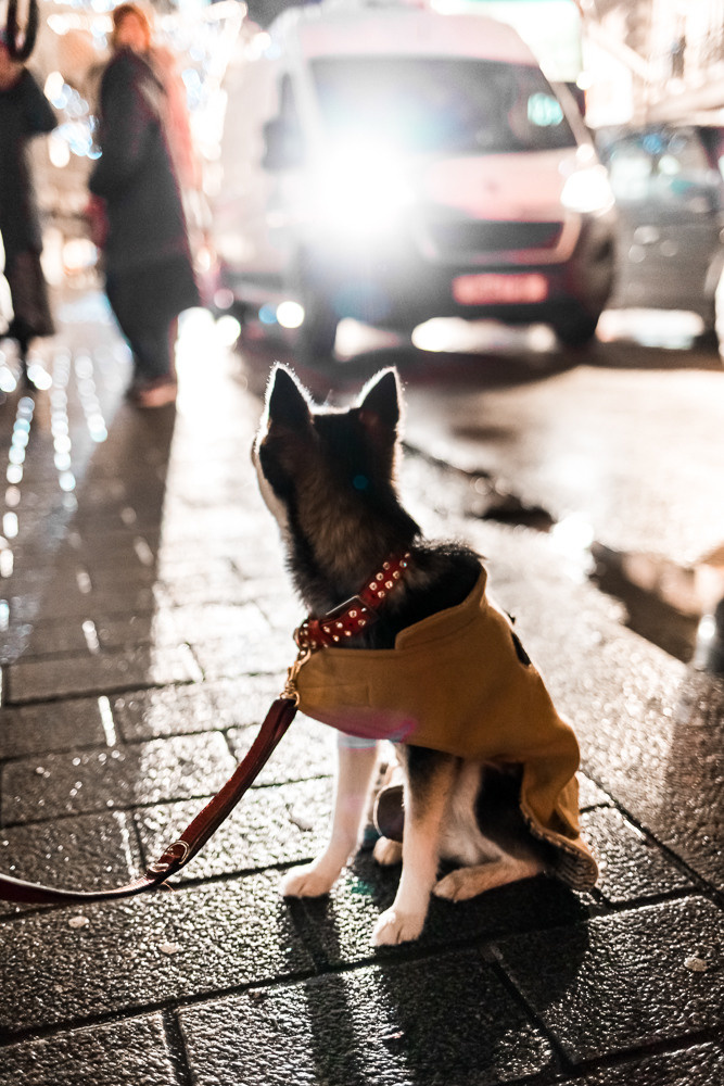 Night London. Professional wedding photographer in Copenhagen, Denmark — Julia Byron