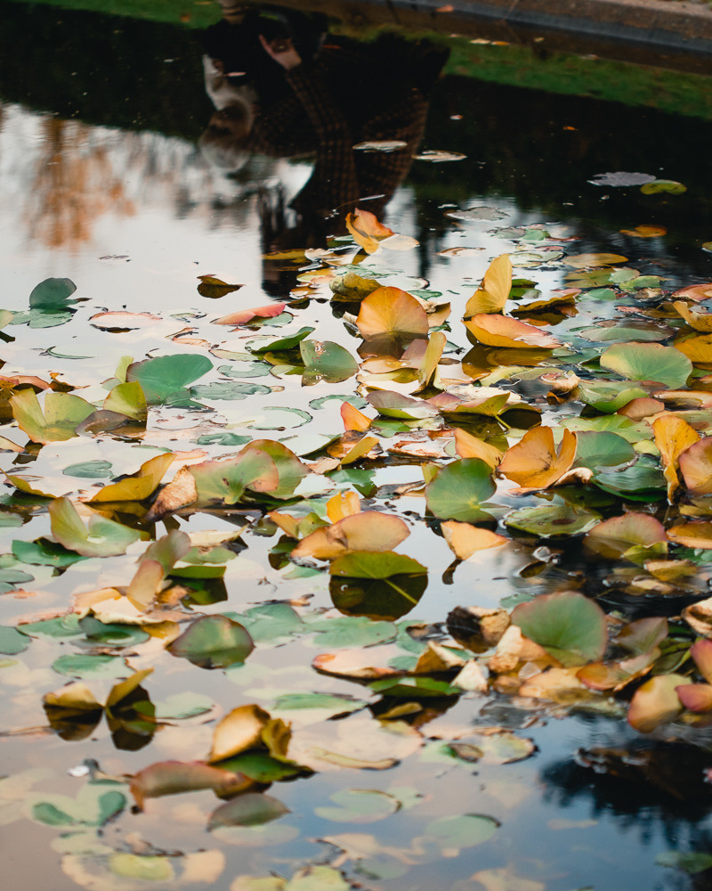 Lisa and Matvei. Professional wedding photographer in Copenhagen, Denmark — Julia Byron