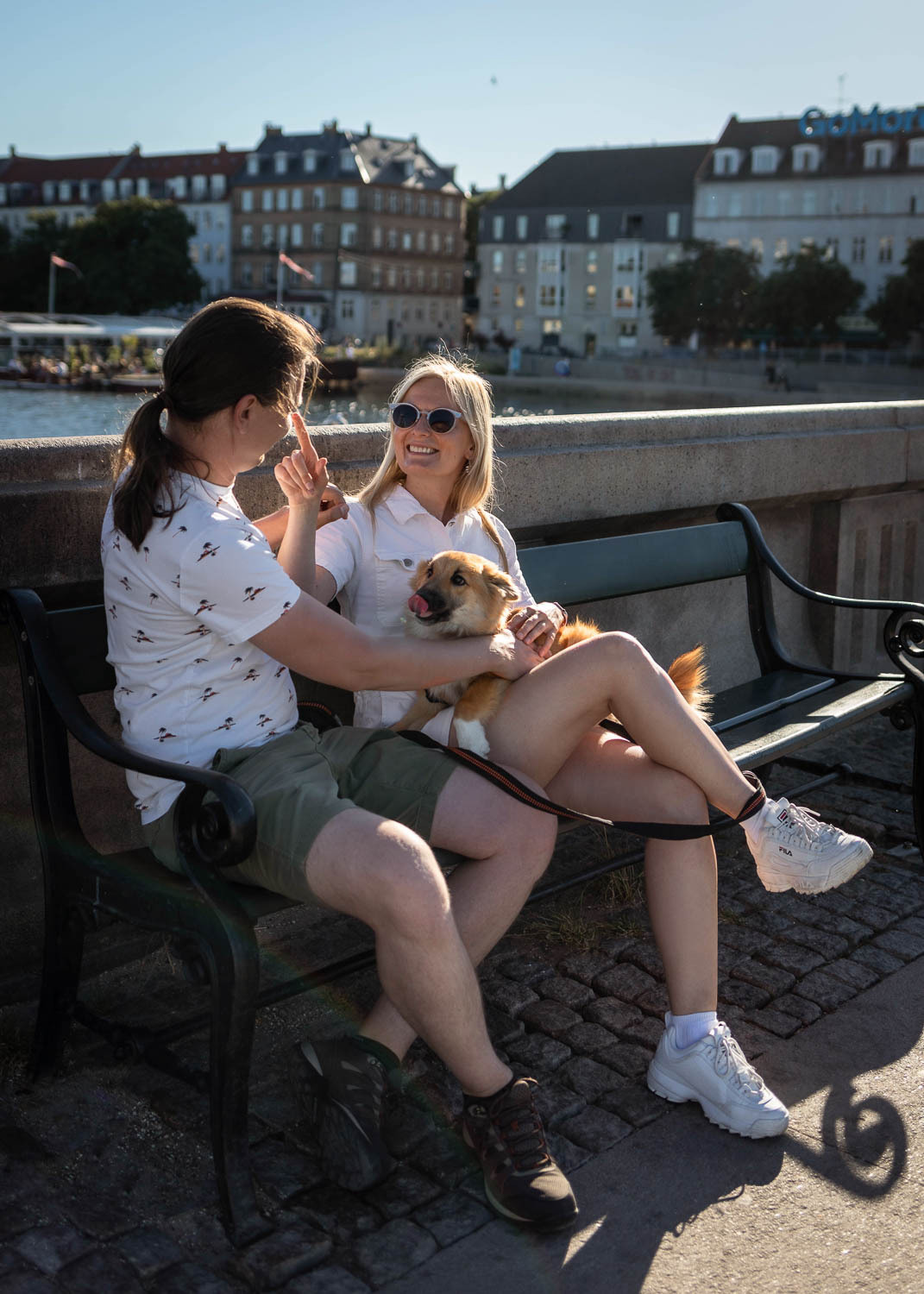 Family with dog. Professional wedding photographer in Copenhagen, Denmark — Julia Byron