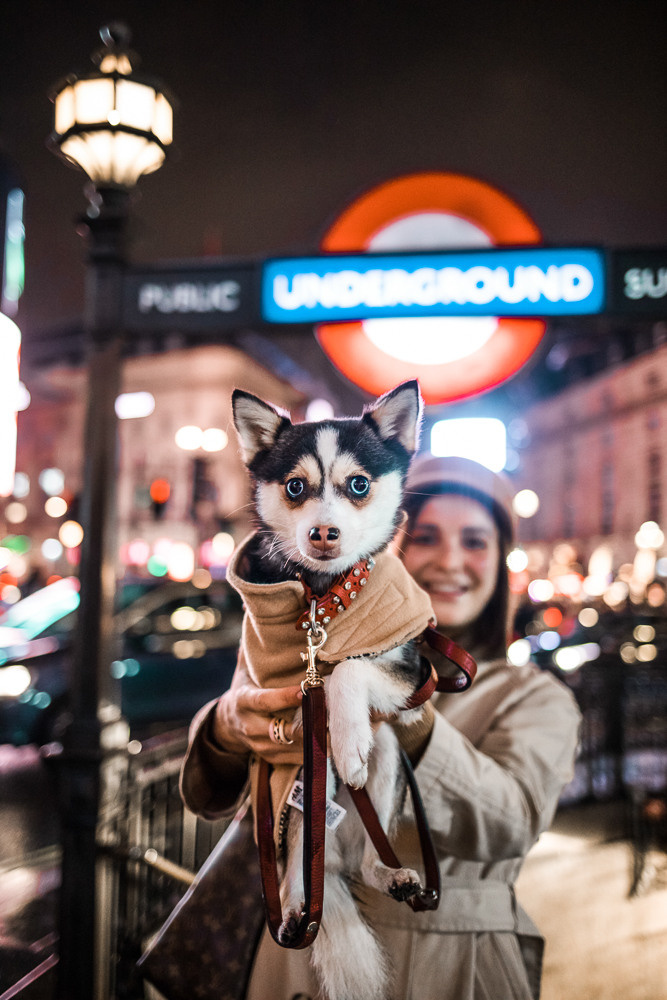 Night London. Professional wedding photographer in Copenhagen, Denmark — Julia Byron
