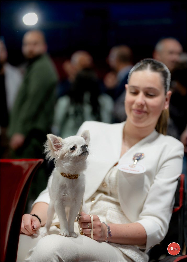 Expo canine 🇲🇨 Monaco 9-10/05/2026. Photographe à Strasbourg | Les animaux, Portraits, Studio, Événements