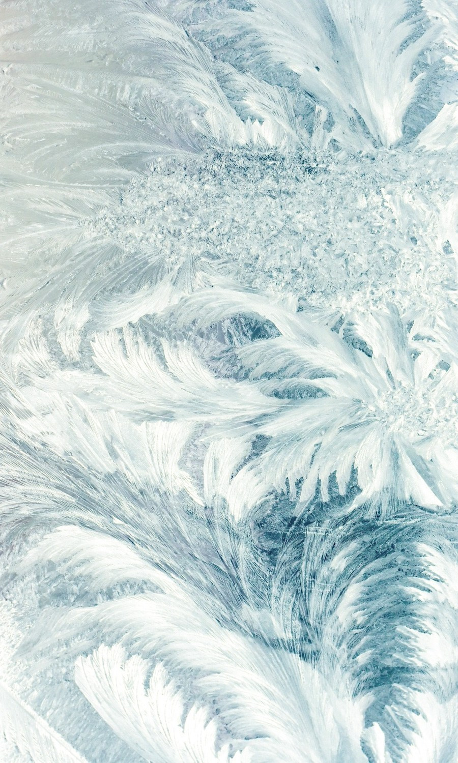 Adventes vainadziņi. Event design, decoration, floristry, gift, Irina Novika, Riga, Latvia