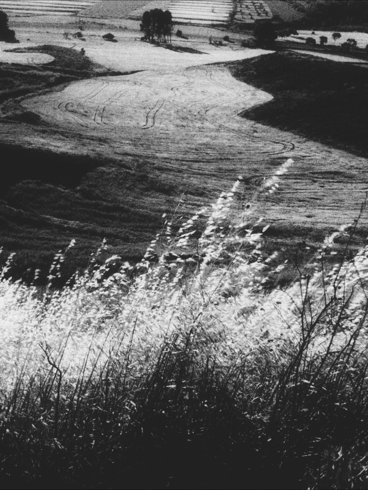 Marina Kálcheva — Photographer & Visual Artist in Barcelona