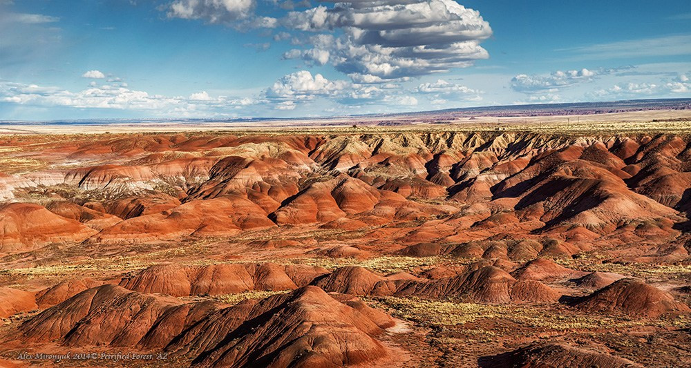 Eagle’s View — Arizona. Pet, Senior, Landscape, portrait studio, photographer in Miami and Sou