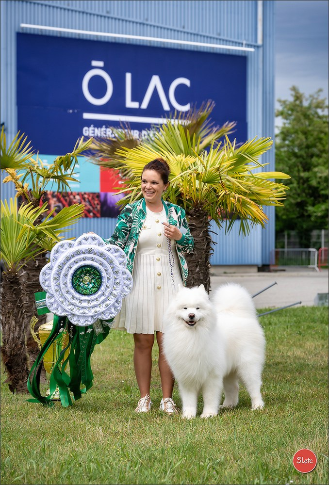 Expo canine 🇫🇷 Valence 02-03/05/2026