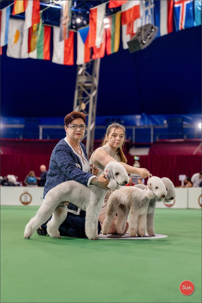 Expo canine 🇲🇨 Monaco 9-10/05/2026. Photographe à Strasbourg | Les animaux, Portraits, Studio, Événements