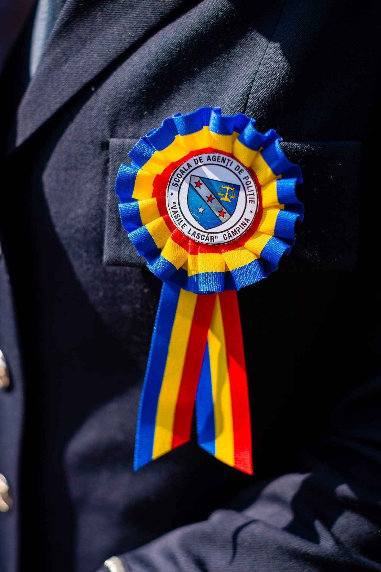 Opinii. Bordeiionutfotograf