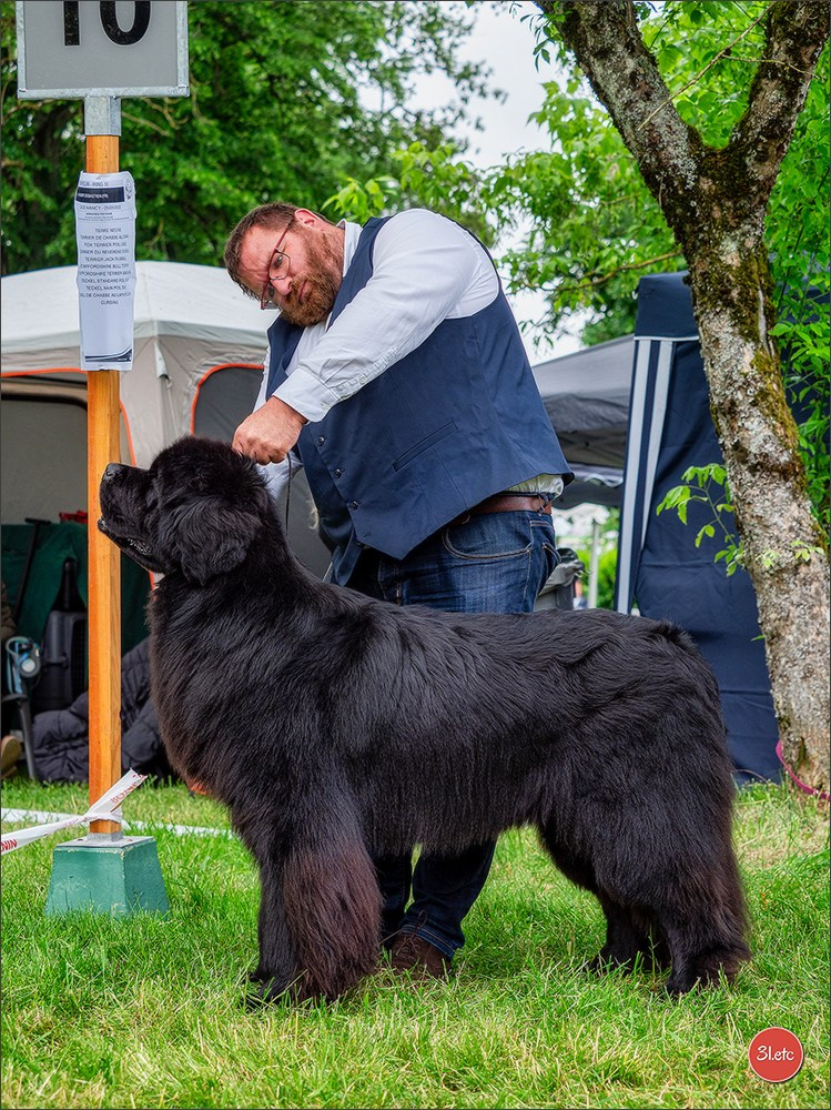 Expo canine Nancy  🇫🇷  25/05/2025. Photographe à Strasbourg | Portraits, Studio, Enfants, Événements