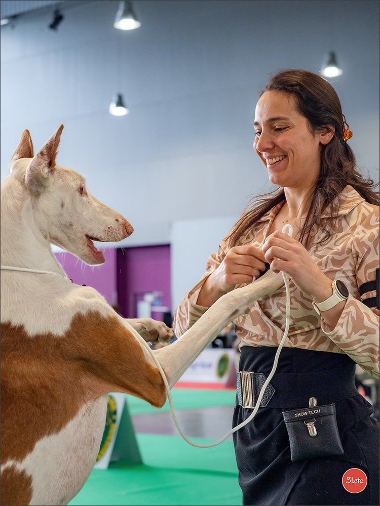 🇫🇷  Chalons en Champagne  🇫🇷  Expo canine  31/01-01/02/2026. Photographe à Strasbourg | Portraits, Studio, Enfants, Événements