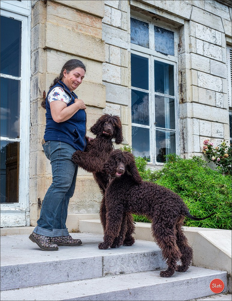Championnat de France du chien de race  🇫🇷  DIJON (château de Brognon) 7-8/06/2025. Photographe à Strasbourg | Portraits, Studio, Enfants, Événements