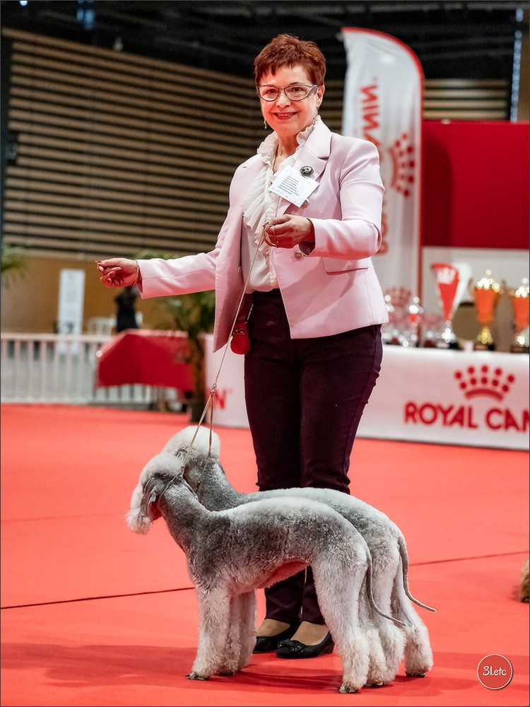 Expo canine 🇫🇷 Angers 22-23/03/2025. Photographe à Strasbourg | Portraits, Studio, Enfants, Événements