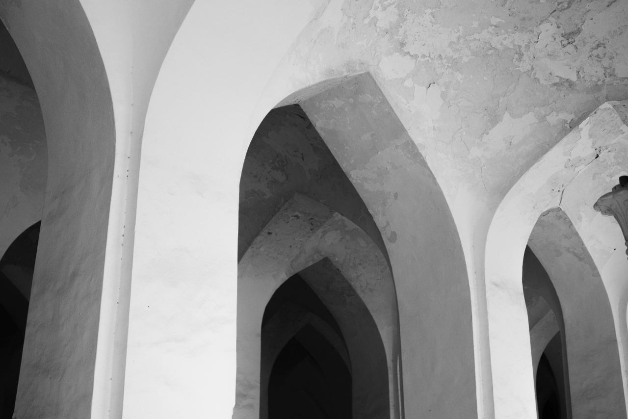 Qatar delegation visit. Melikov Amir, Uzbekistan based photographer