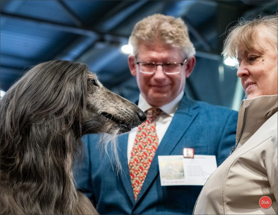 Expo canine   🇫🇷   Mulhouse 5-6/04/2025. Photographe à Strasbourg | Portraits, Studio, Enfants, Événements