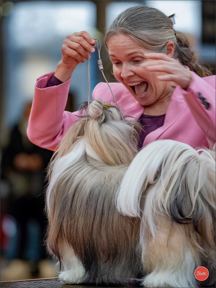 🇫🇷  Perpignan Dog Show  🇫🇷  Expo canine  17-18/01/2026. Photographe à Strasbourg | Portraits, Studio, Enfants, Événements