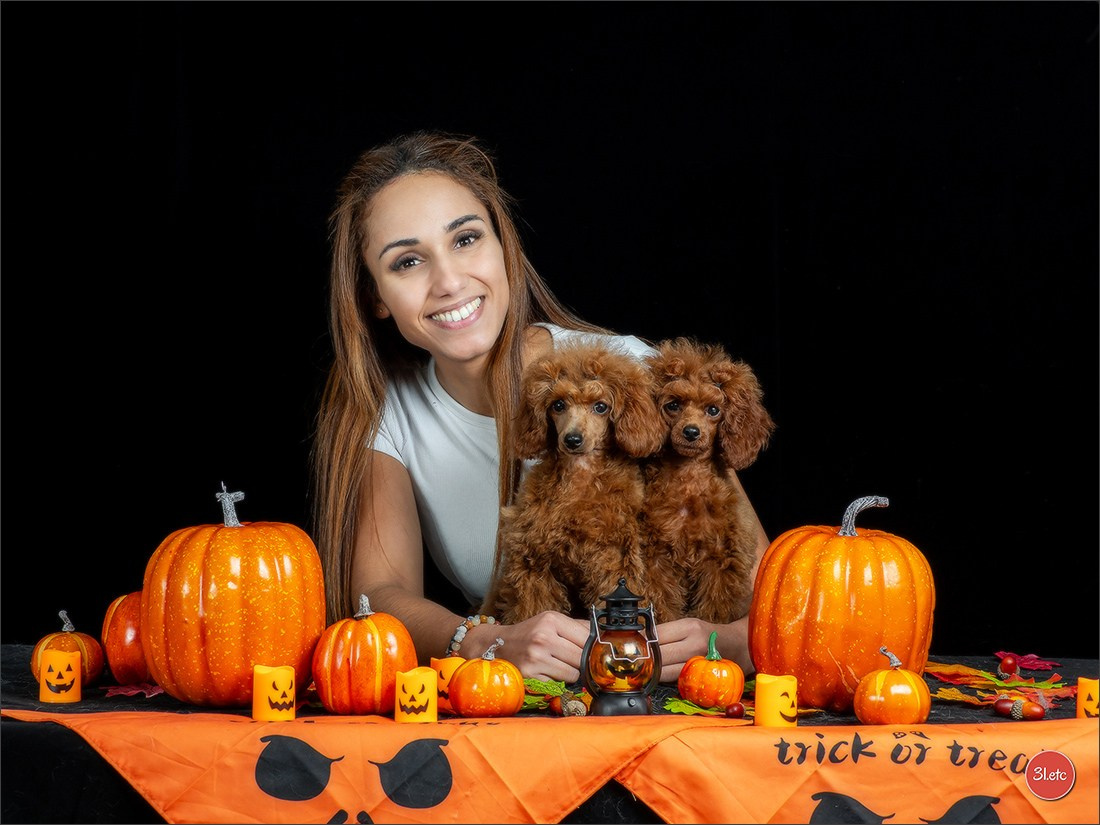 Séance photo d'Halloween dans un salon de toilettage https://pood-els.com/ à Strasbourg. Photographe à Strasbourg | Portraits, Studio, Enfants, Événements