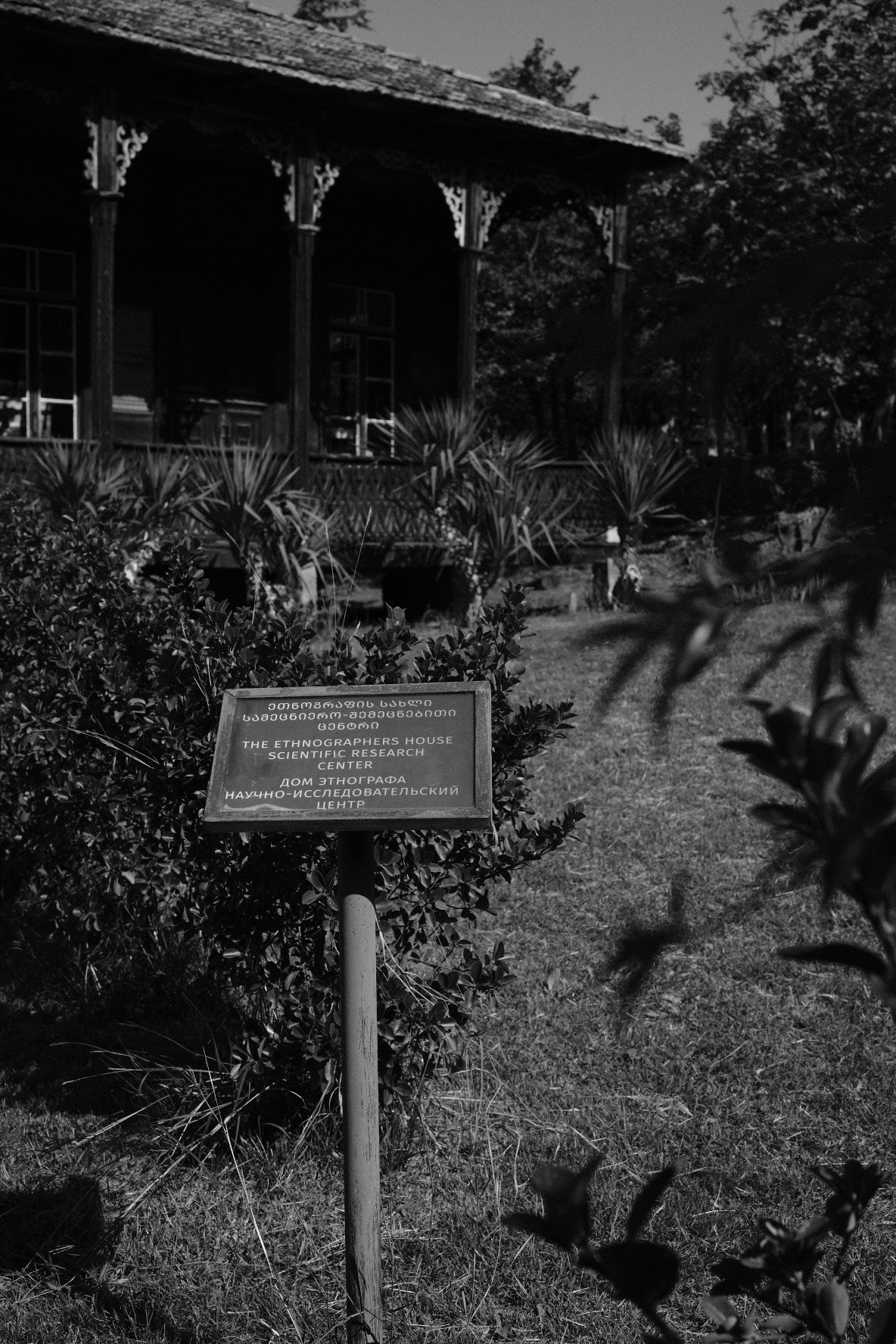 თბილისობა 2024. @Gio.Fujifilm official Fujifilm Ambassador & X-Photographer in Georgia