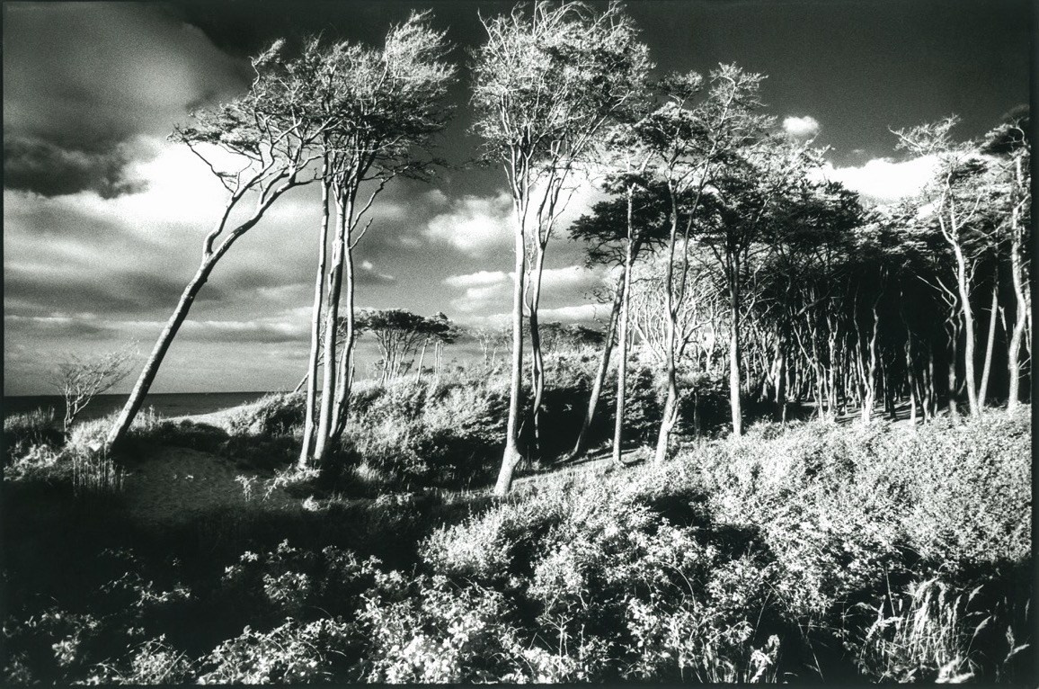 Sacra Natura. Katerina Kiper Photography