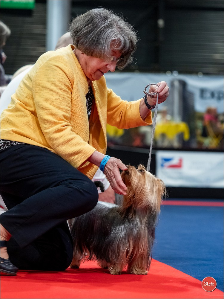 Expo canine   🇫🇷   Mulhouse 5-6/04/2025. Photographe à Strasbourg | Portraits, Studio, Enfants, Événements