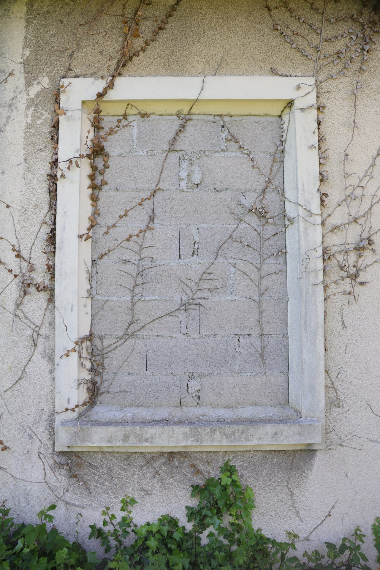 Témoignages. Natalia Bogdanovska. Films et photographie corporate en France