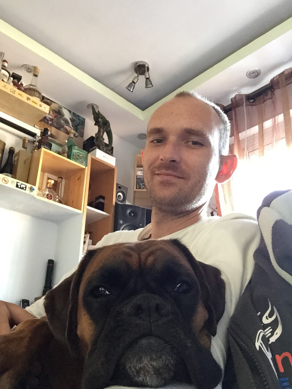 My ״Star״ Boxer Dog