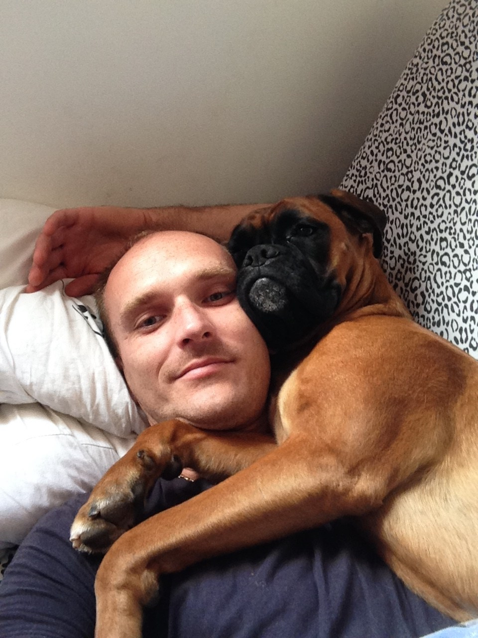 My ״Star״ Boxer Dog