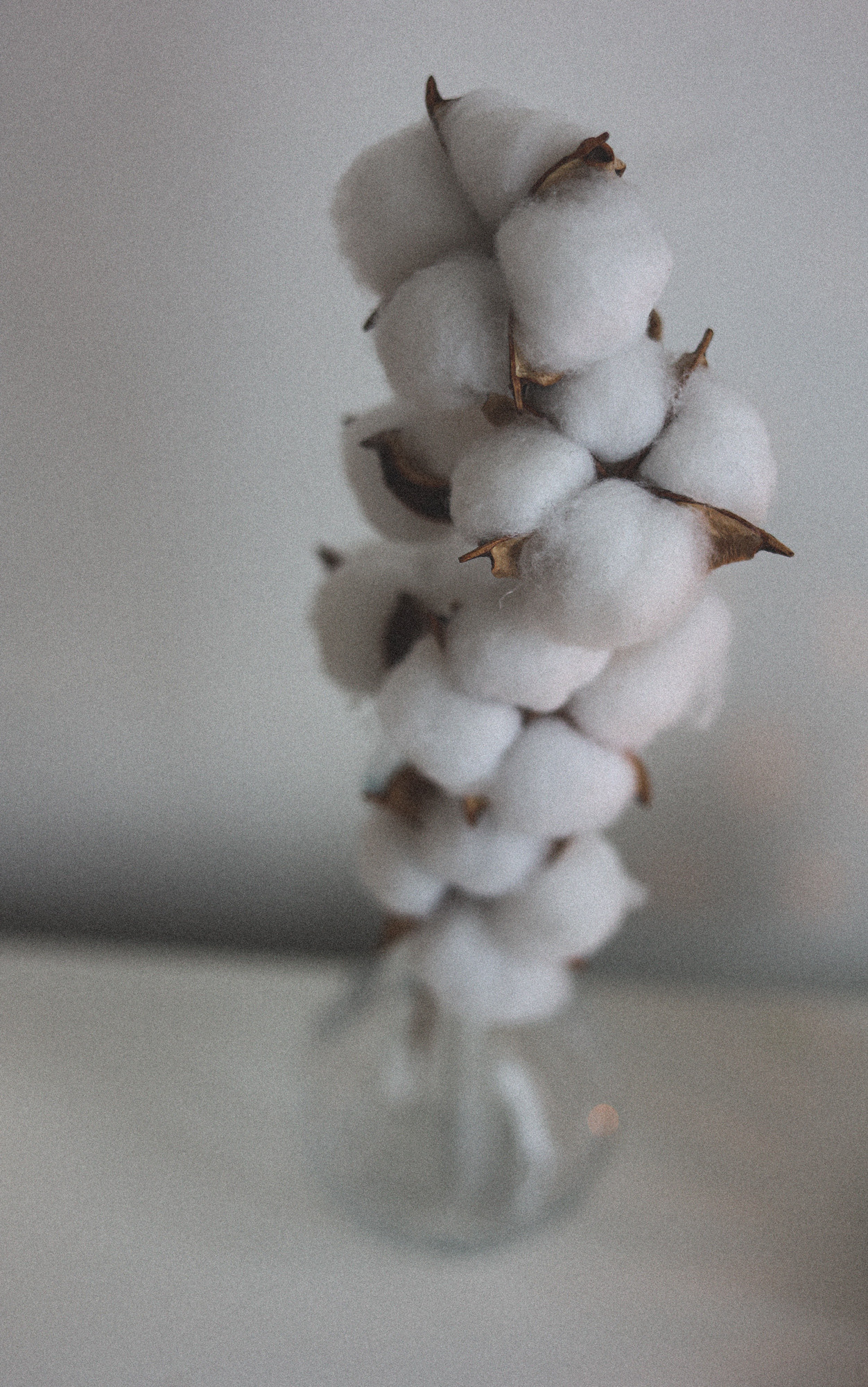 A N A S T A S I A  — E Y E L A S H  E X T E N S I O N. Main