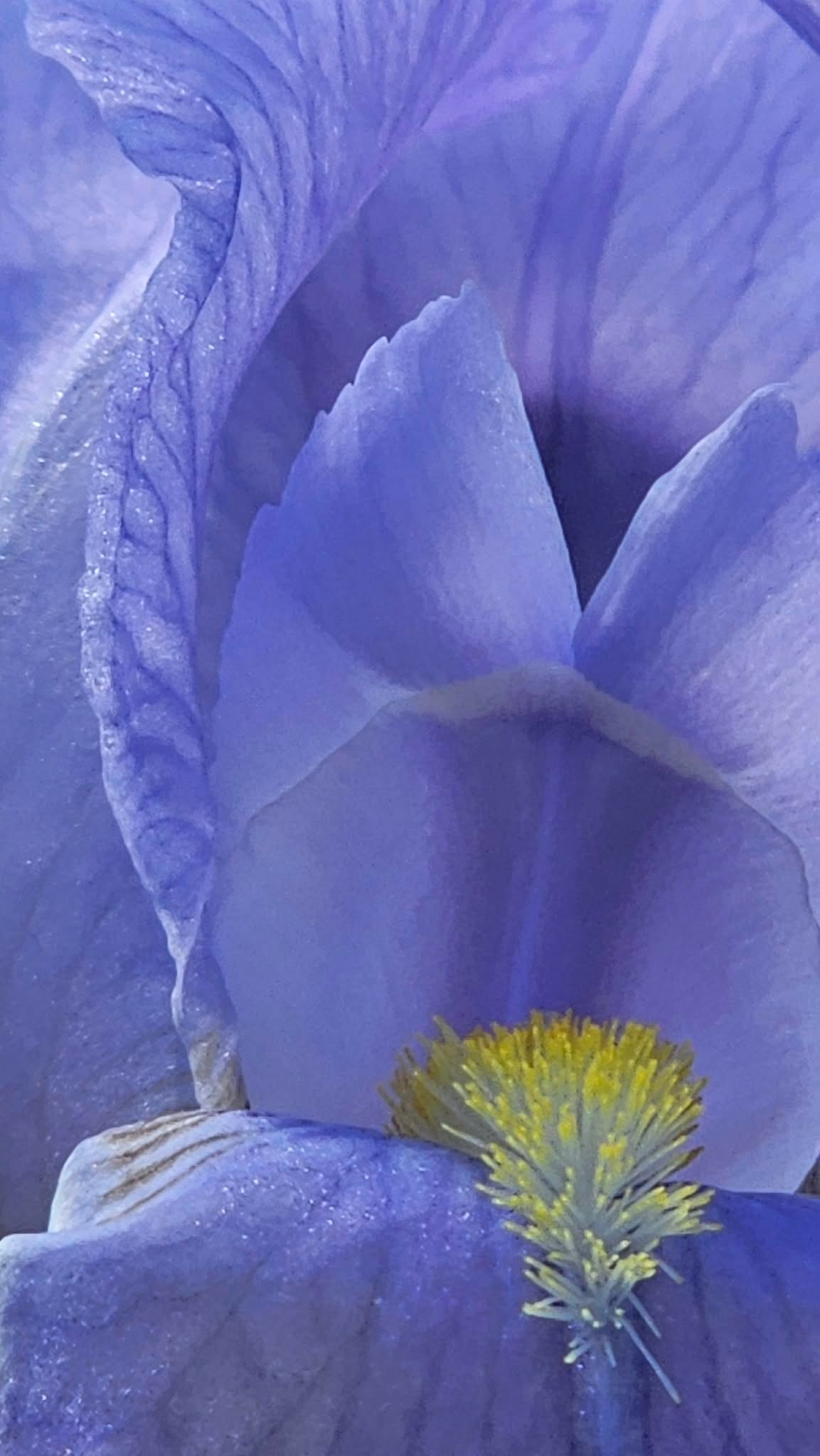 CAFE DEL PHOTO #96 «На грани». Școala de fotografie lui Roman Ribaliov. Orașul Chișinău, Moldova