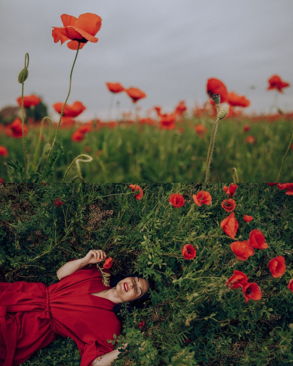 Yulia. Семейный фотограф. Сербия. Нови-Сад. Белград