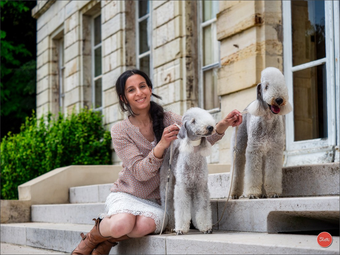 Championnat de France du chien de race  🇫🇷  DIJON (château de Brognon) 7-8/06/2025. Photographe à Strasbourg | Portraits, Studio, Enfants, Événements