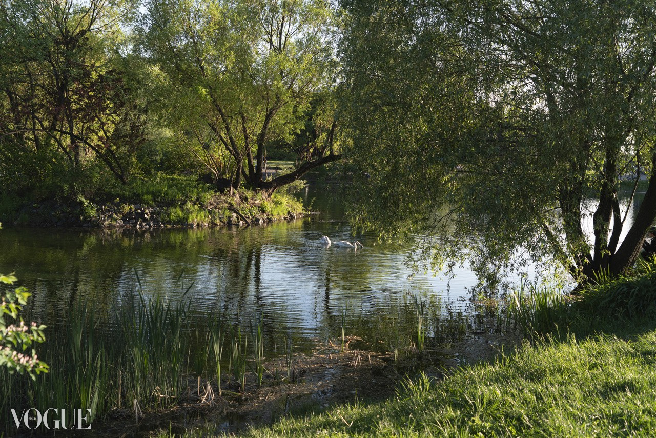 Красота садов и парков. Суть фотографии в стиле изобразительного искусства
