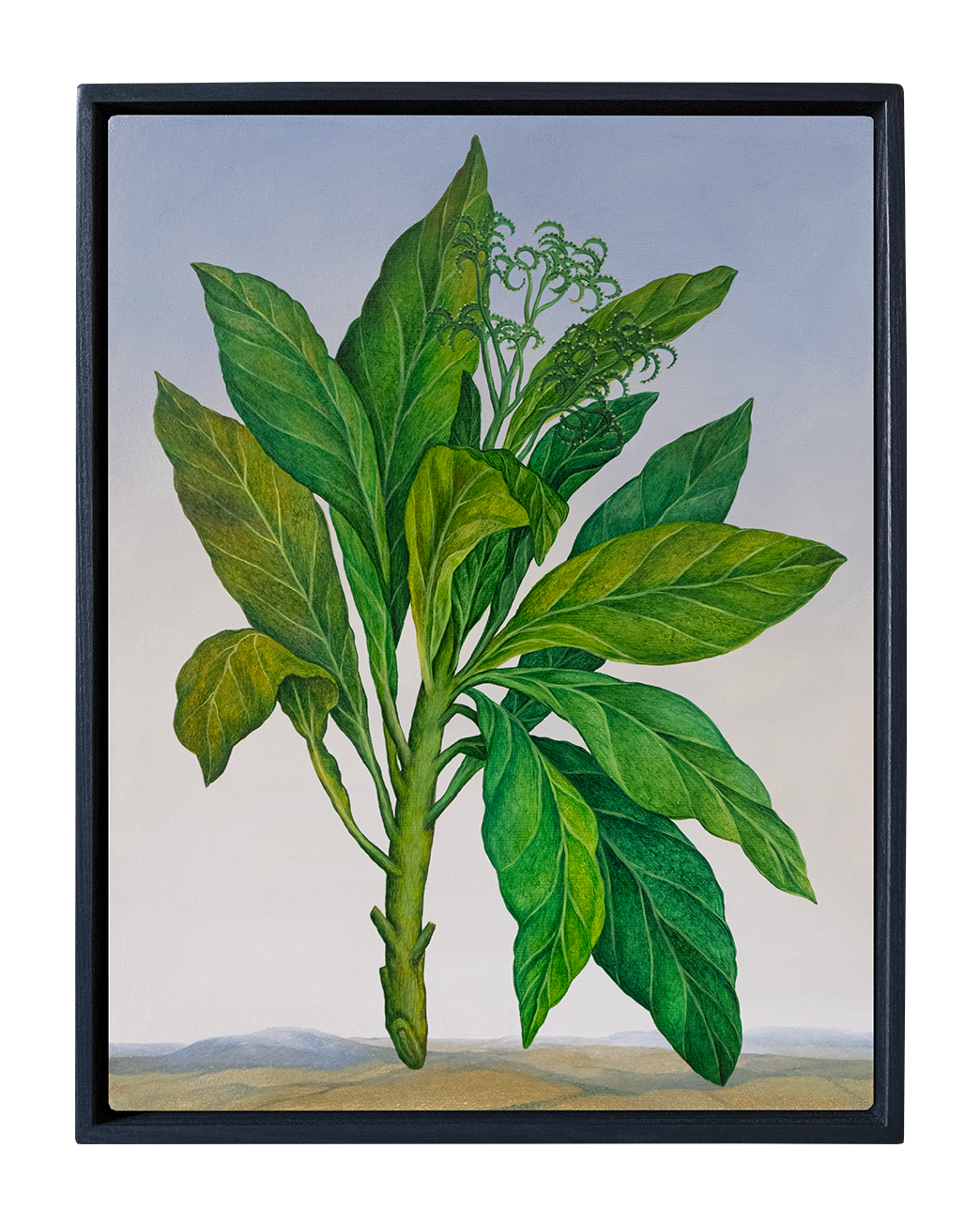 Botanical Etude No. 15. ELEN BEZHEN