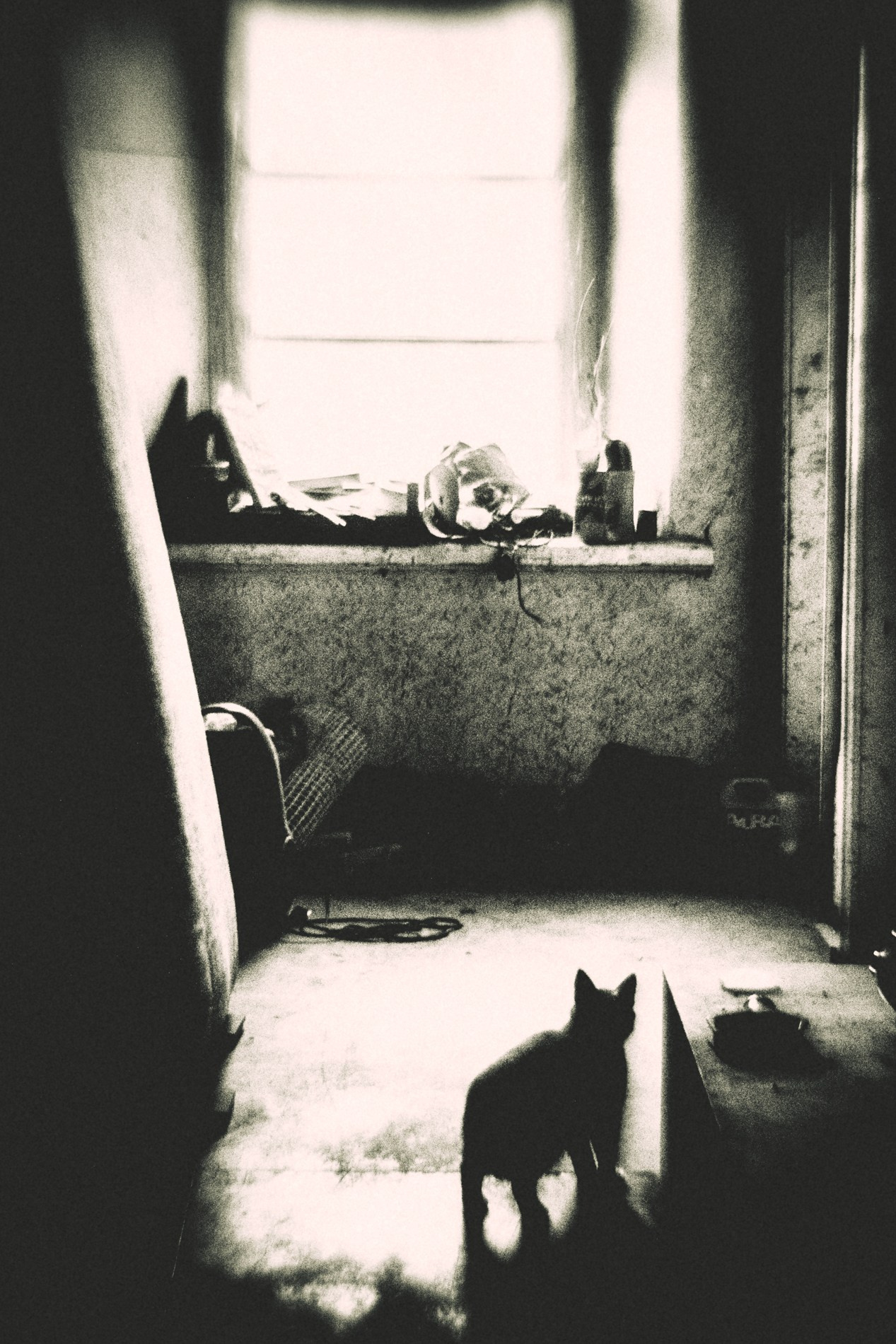 A.Dukura Jāņu laika perfomances. Sandra Garanca Portrait and event photographer