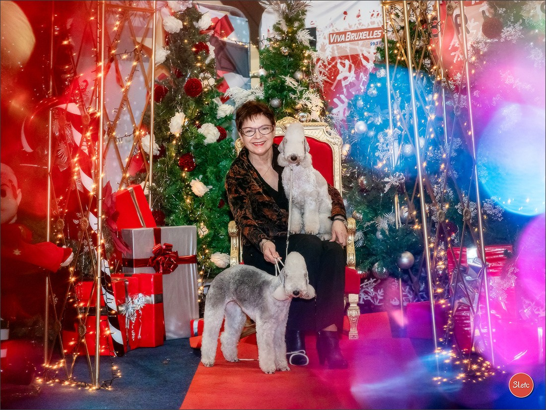 14-15.12.2024 Brussels Dog Show 🇧🇪. Photographe à Strasbourg | Portraits, Studio, Enfants, Événements