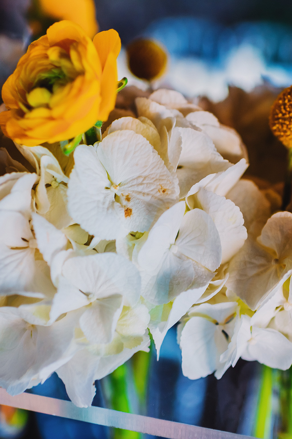 DENIS AND ANNA | WEDDING IN MONACO. HOME