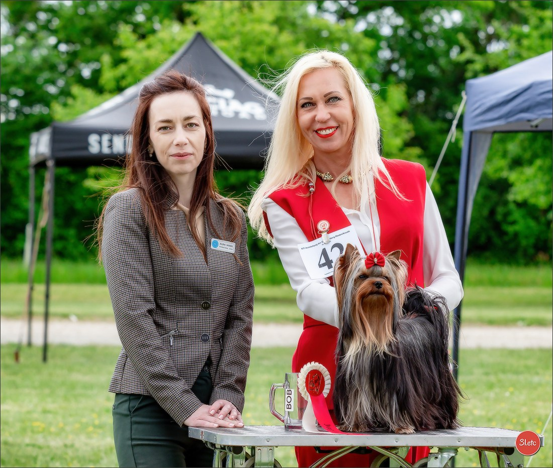 Dog Show Rieden 🇩🇪 16-18/05/2025. Photographe à Strasbourg | Portraits, Studio, Enfants, Événements