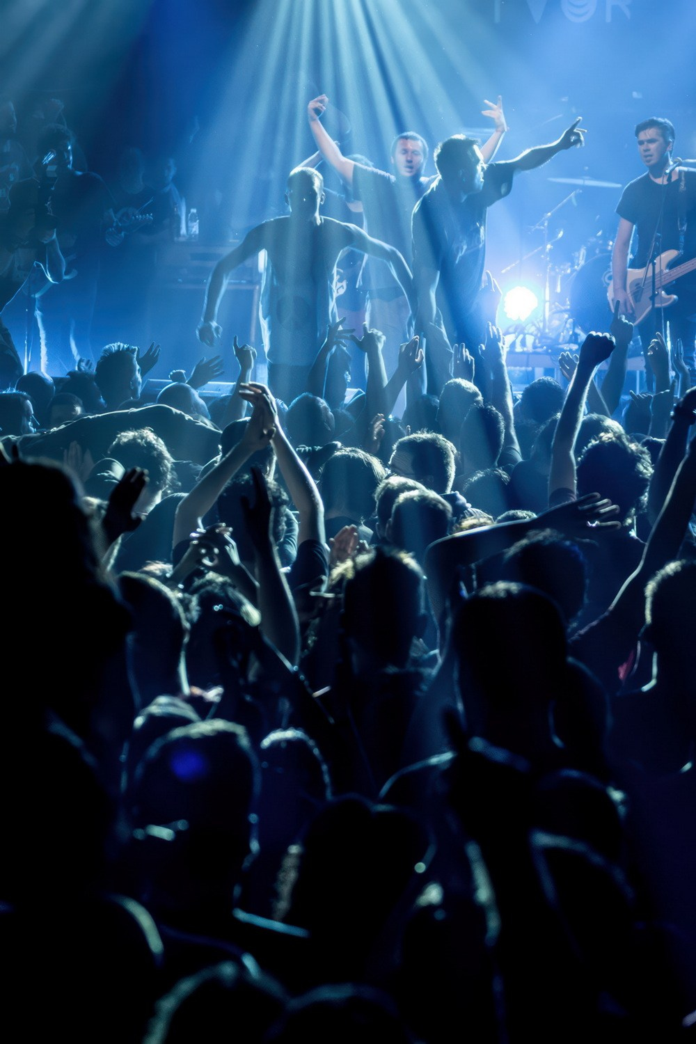 NOĆNI ŽIVOT. Fotografi iz Backog Petrovca David i Andrea Stojanovic