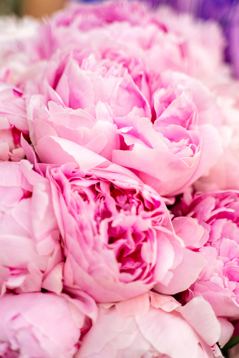 фотограф в бенидорме, аликанте, валенсии