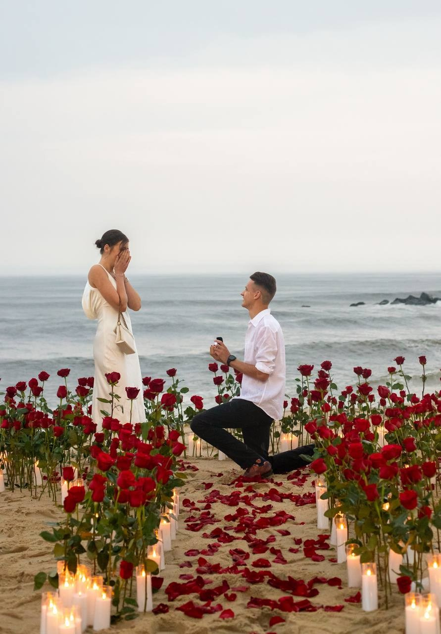 Proposal. Wedding Photographer & Videographer