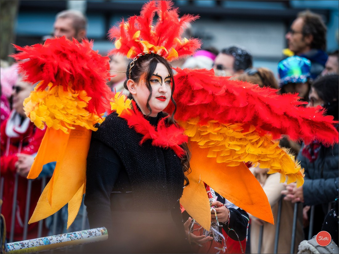 Traditional February carnival. Music, dancing, costume performances. C. Photographe à Strasbourg | Portraits, Studio, Enfants, Événements