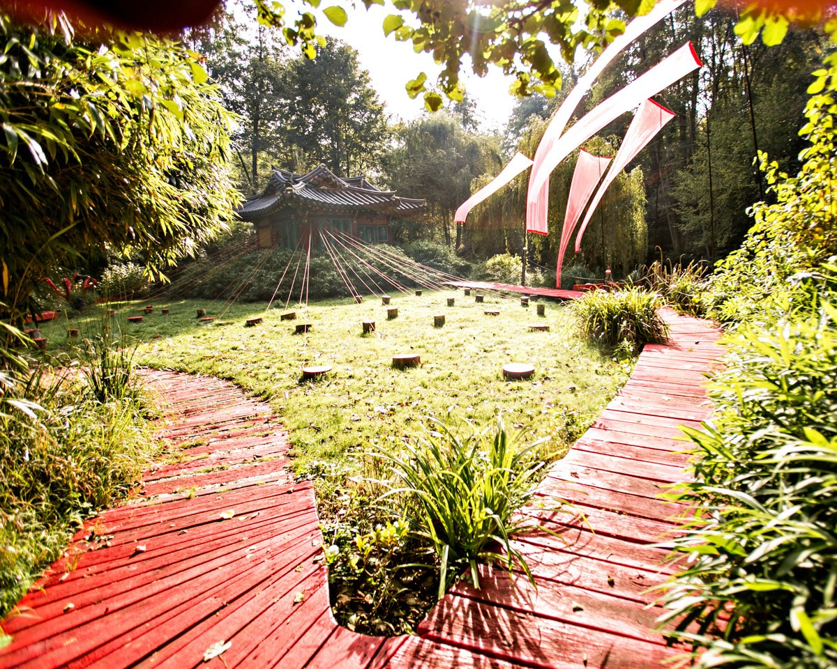 🏀 ALBUM « SOCIAL NETWORK ». Felix — Professional Photographer in Paris