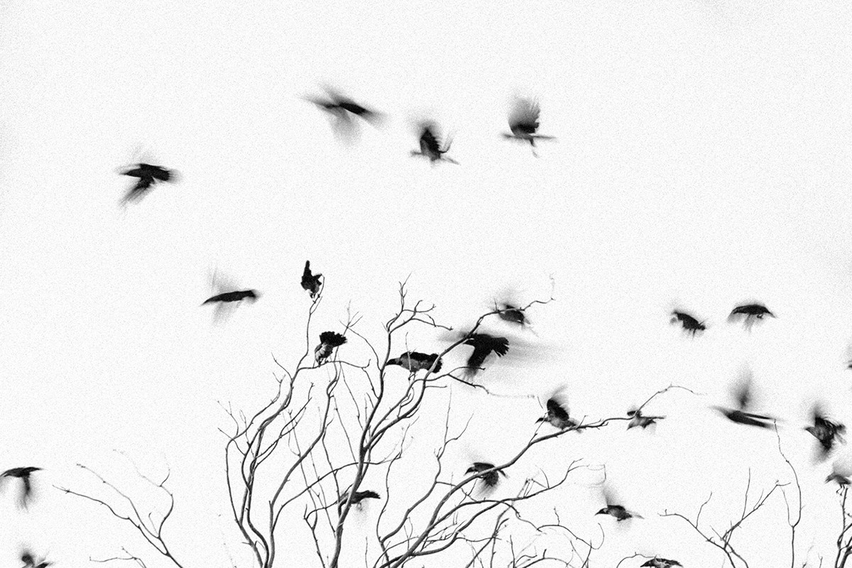 Minimalism. Photographer in Israel Maxim Sayapin