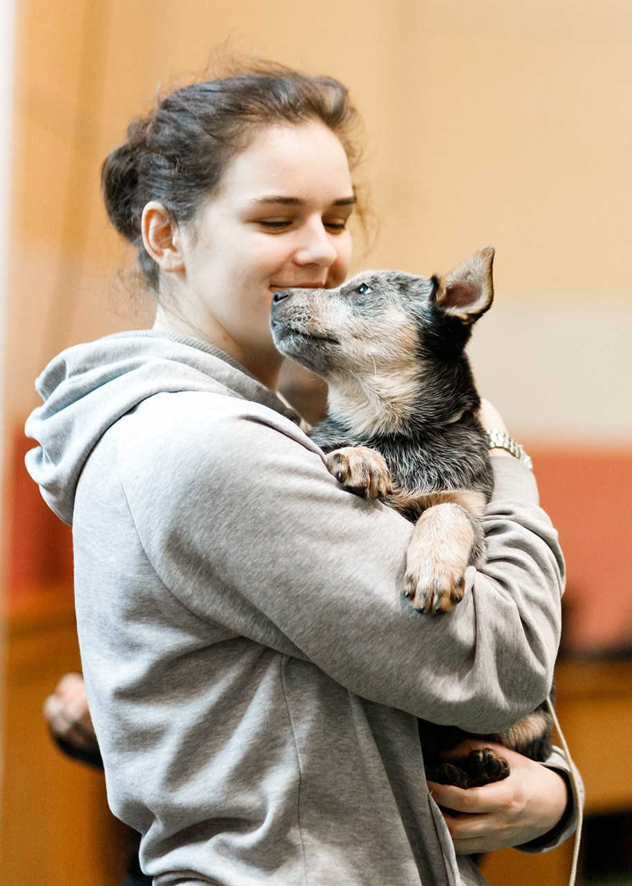 Grodno dog show. Kaja | fotograf we Wrocławiu | ludzie i psy