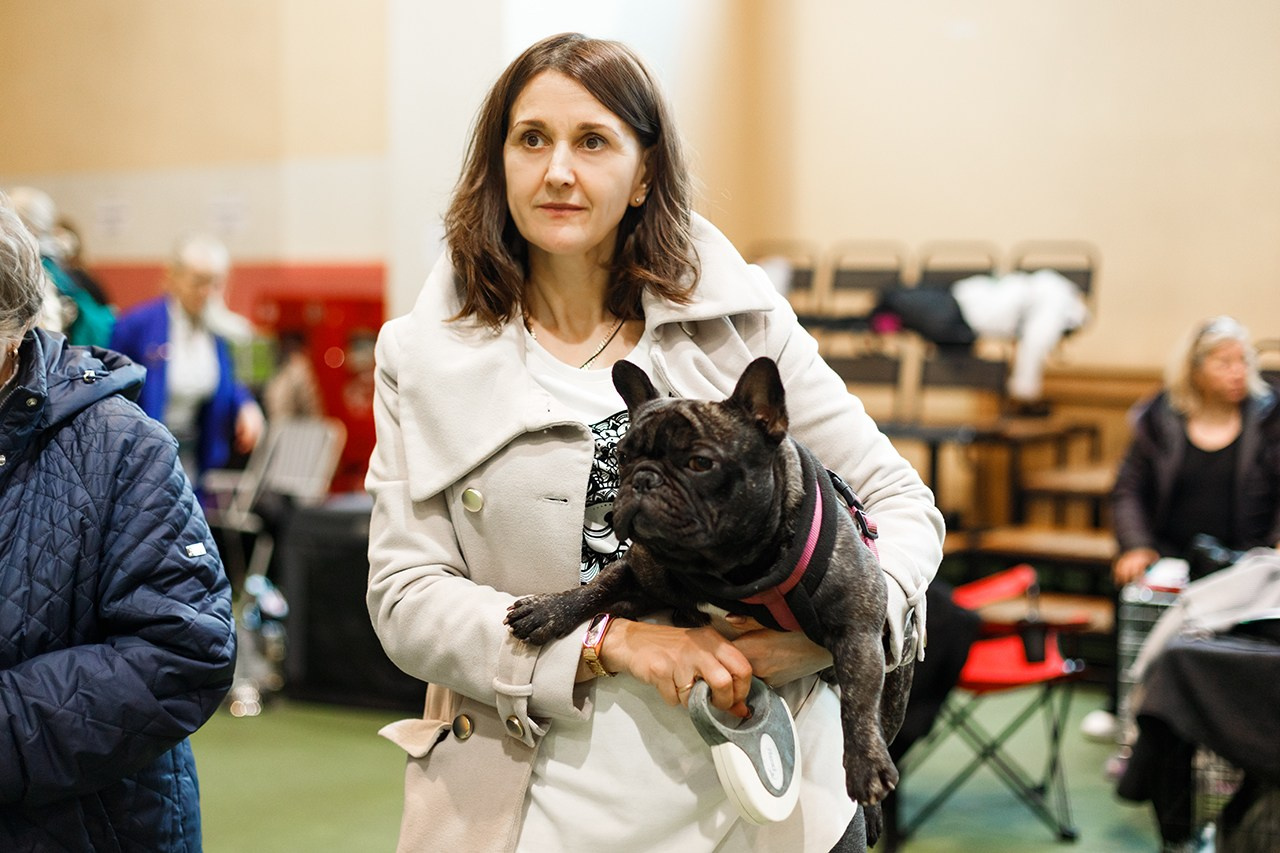 Grodno dog show. Kaja | fotograf we Wrocławiu | ludzie i psy