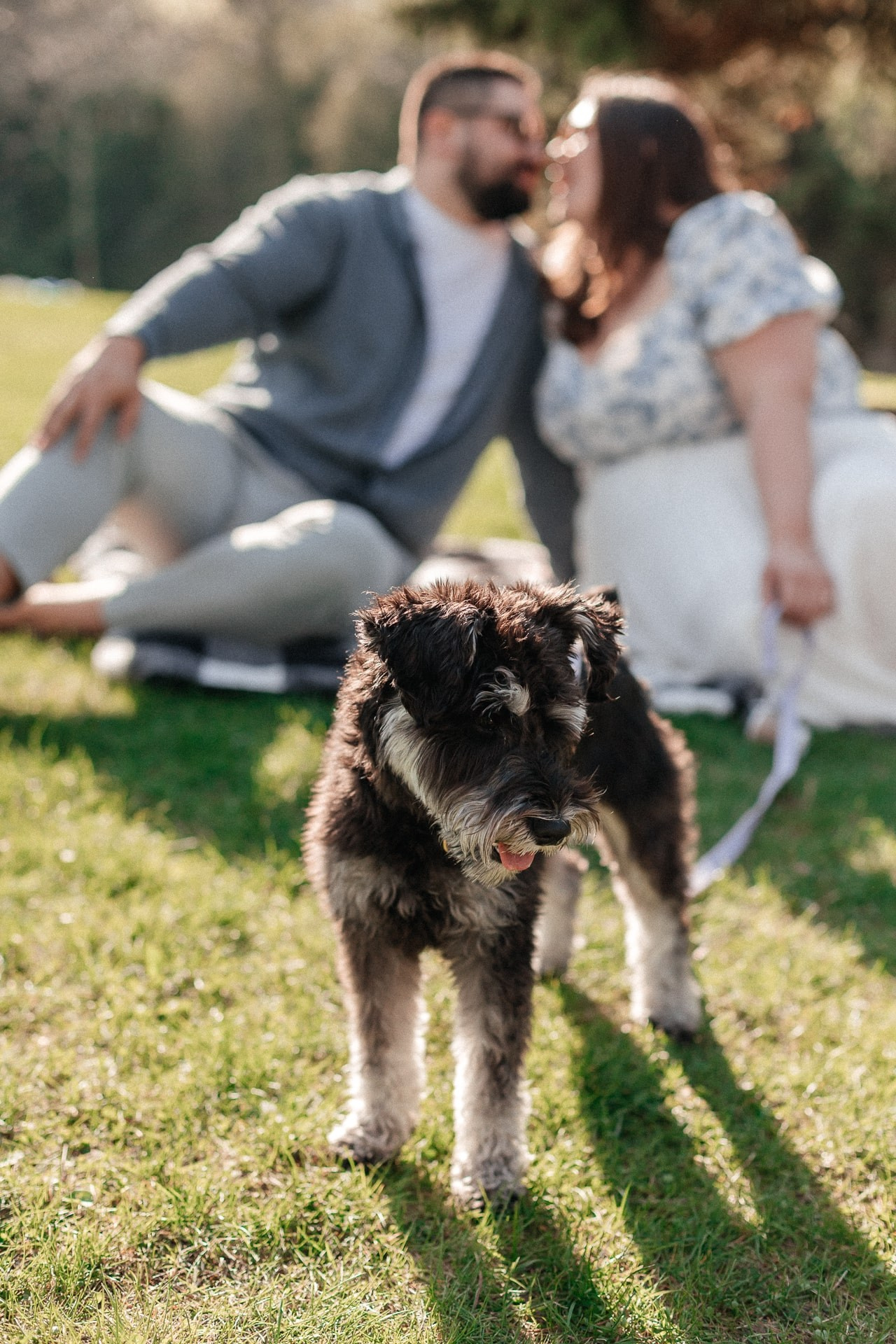 Charlotte & Sasmit. Storytellers Films — Candid Wedding Videographer & Photographer in Toronto, Ontario and beyond