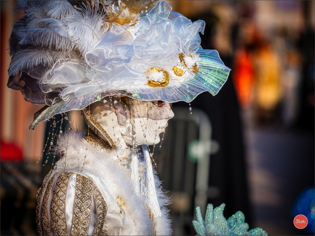 Carnaval vénitien de Rosheim 2026. Photographe à Strasbourg | Portraits, Studio, Enfants, Événements