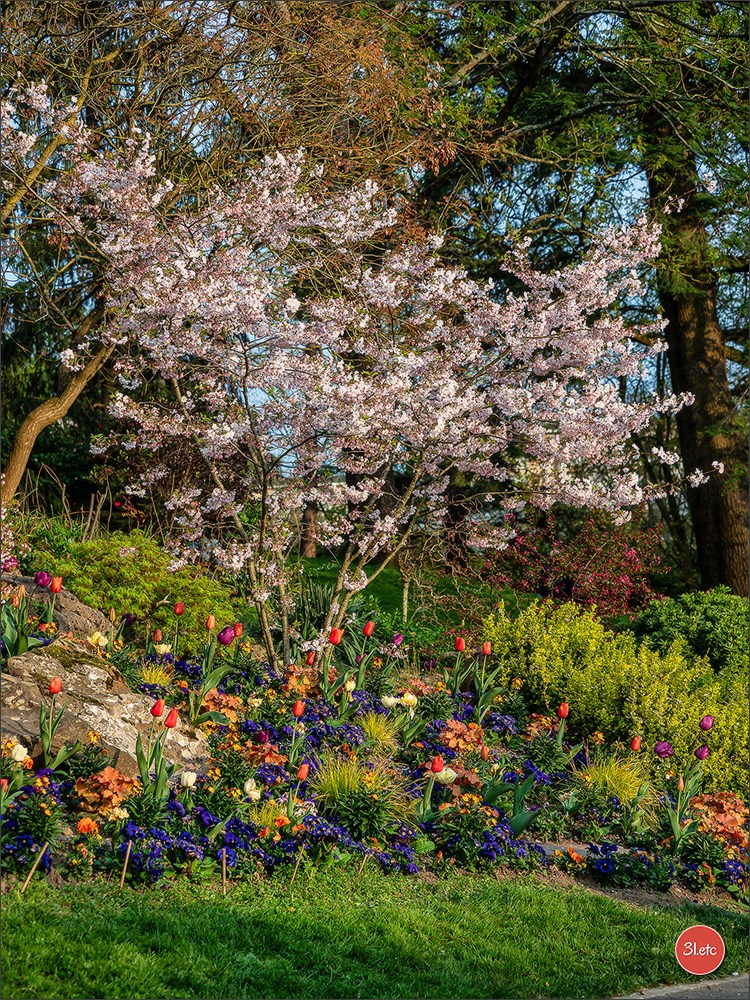 Angers  🇫🇷. Photographe à Strasbourg | Portraits, Studio, Enfants, Événements