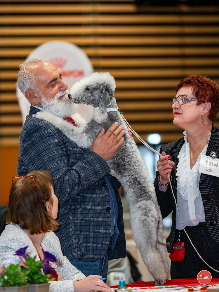 Expo canine 🇫🇷 Angers 22-23/03/2025. Photographe à Strasbourg | Portraits, Studio, Enfants, Événements