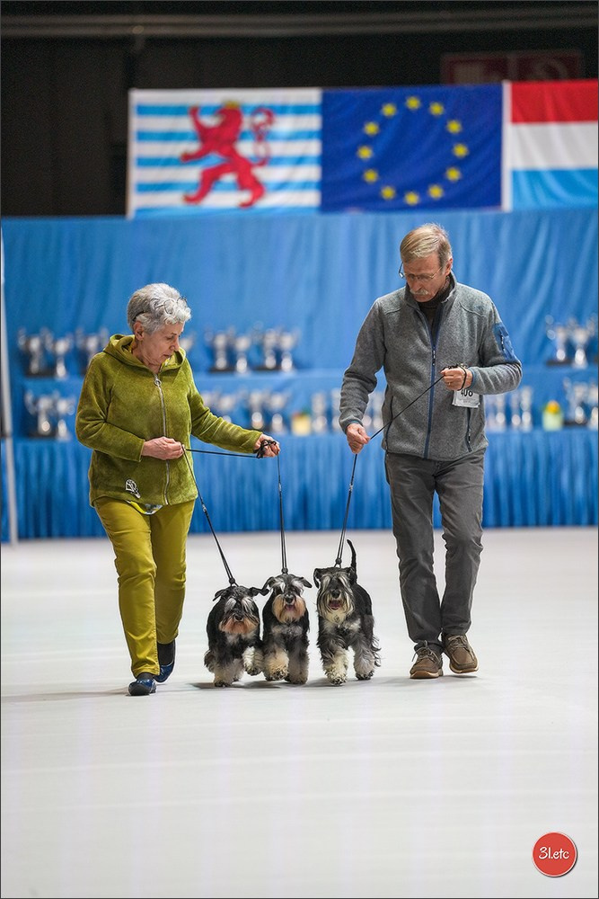 🇱🇺 LUXEMBOURG 🇱🇺 International Dog Show 4-5/04/2026. Photographe à Strasbourg | Portraits, Studio, Enfants, Événements
