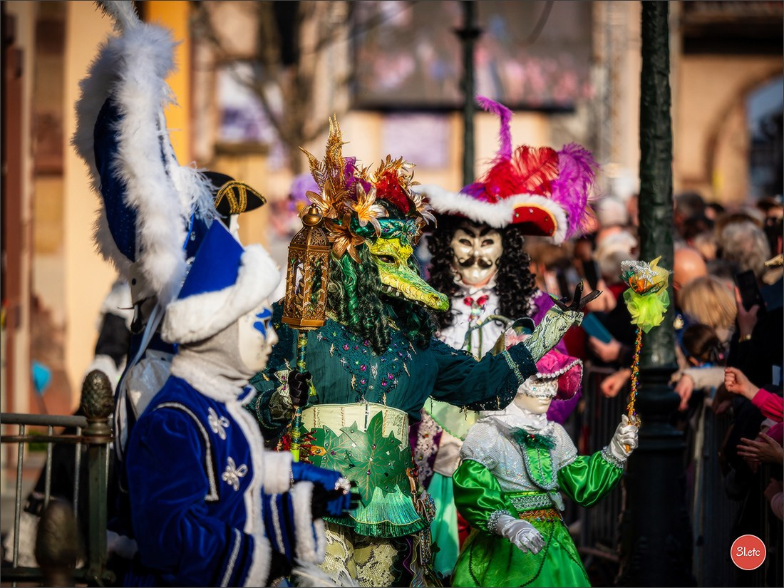 Carnaval vénitien de Rosheim 2026. Photographe à Strasbourg | Portraits, Studio, Enfants, Événements